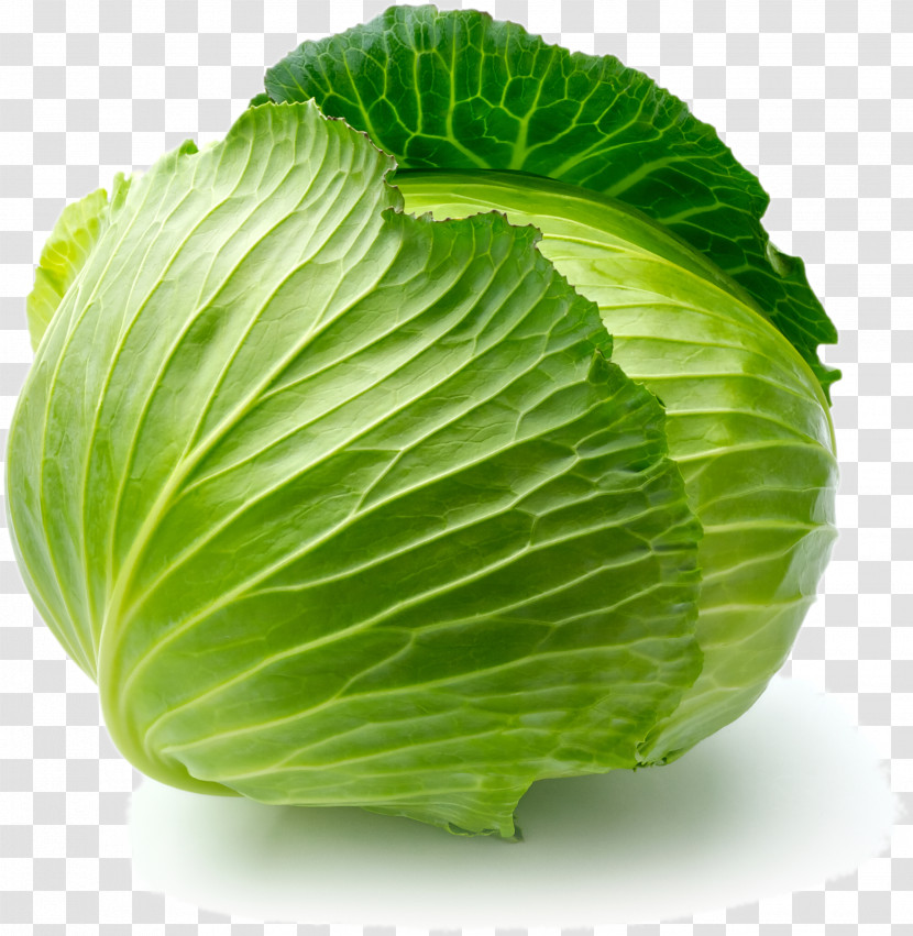 Cabbage Leaf Vegetable Wild Cabbage Plant Transparent PNG