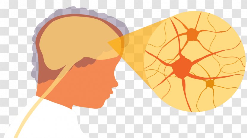 Peripheral Nervous System Neurology Brain Neuron - Heart - Nerve Transparent PNG