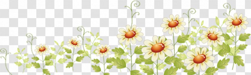 Floral Design Download - Petal Transparent PNG