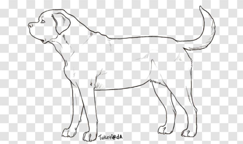 Dog Breed English Mastiff Bullmastiff Line Art Tibetan - Tail - Carnivoran Transparent PNG