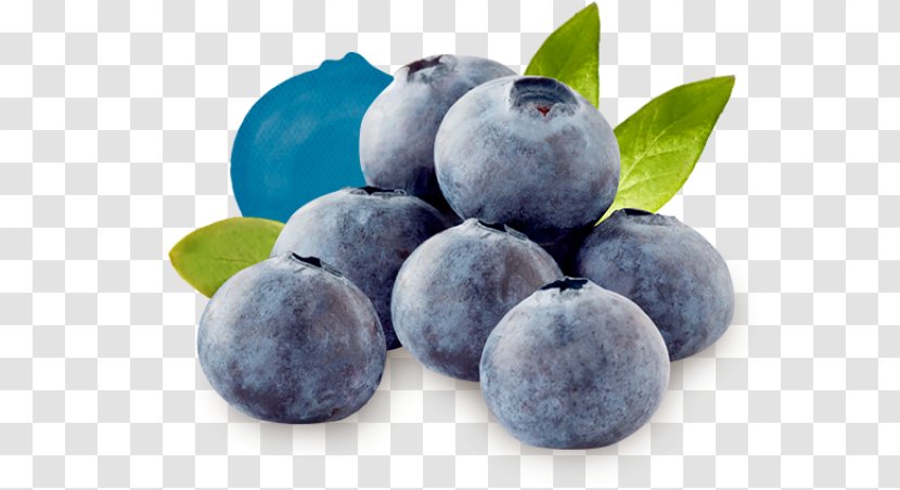 Blueberry Tea Bilberry Driscoll's Huckleberry - Berry - Milk Cinnamon Rolls Transparent PNG