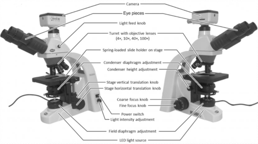 Light Optical Microscope Condenser Scientific Instrument - Machine Transparent PNG
