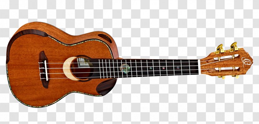 Ukulele Musical Instruments Classical Guitar String - Tree - Along With Transparent PNG