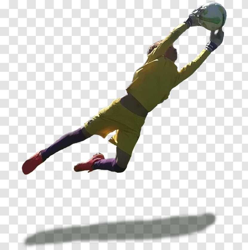 ACF Fiorentina Camp Sport Goalkeeper Summer - Jumping - DOLI Transparent PNG