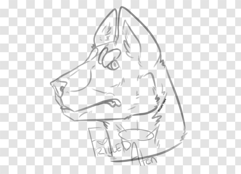 Snout Whiskers Dog Line Art Sketch - Artwork - Atenção Transparent PNG