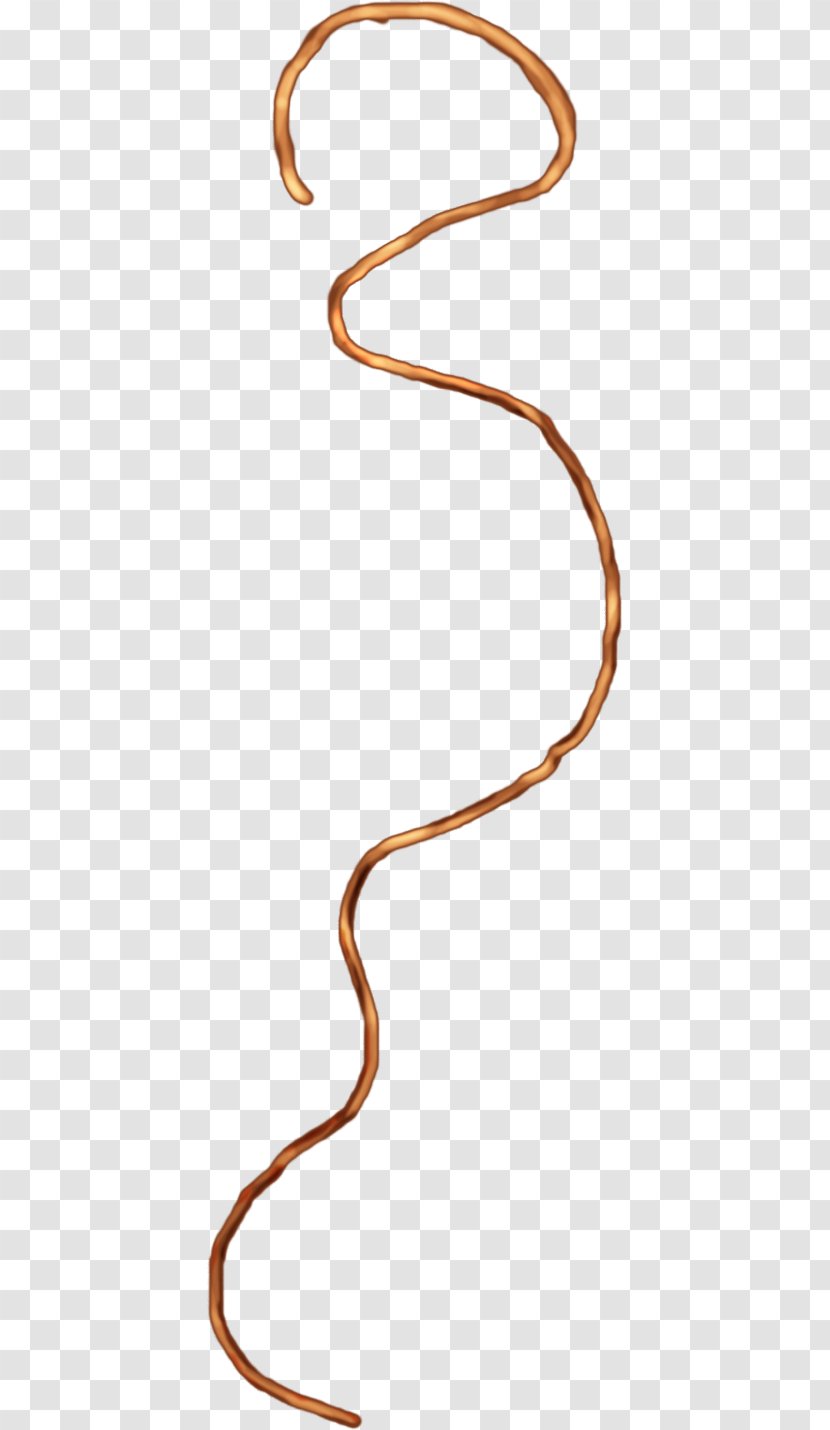 Rope Line Segment Download - Fashion Accessory - Hand-painted Section Of The To Avoid Image Map Transparent PNG