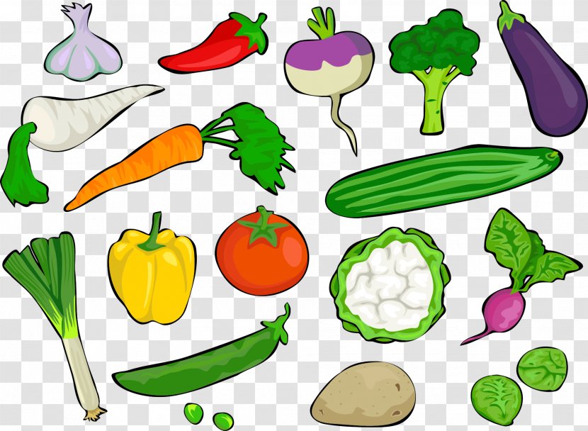Broccoli Cauliflower Vegetable Radish Clip Art - Organism - Gathering Transparent PNG