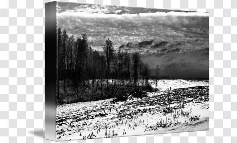 Monochrome Photography Picture Frames - Stock - Landscape Paintings Transparent PNG