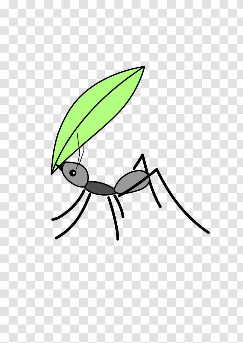 Ant Insect Clip Art - Wing - Ants Transparent PNG