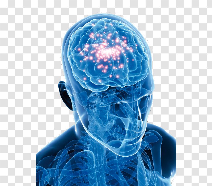 Epilepsy Medicine Neurology Neurosurgery Neurofeedback - Tree - 高清iphonex Transparent PNG