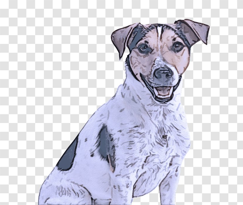 Dog Breed Drawing Sporting Group Rare (dog) - Companion Transparent PNG