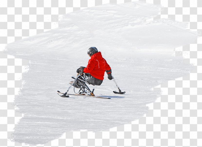 Skiing Winter Sport Ski Poles Snow Transparent PNG
