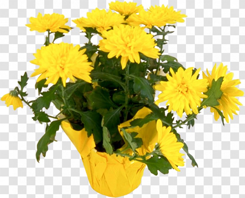 Flower Chrysanthemum Yellow Plant Clip Art Transparent PNG