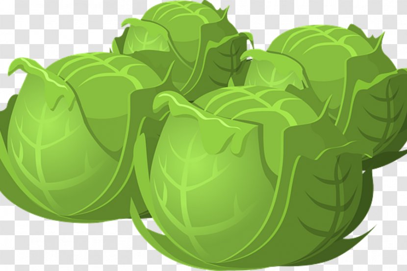 Brussels Sprouts Vegetarian Cuisine Cabbage Clip Art Vegetable - Cauliflower Transparent PNG