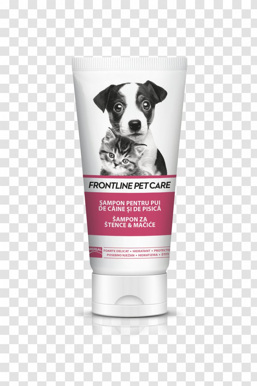 Dog Shampoo Cat Kitten Puppy - Petmeds Limited Transparent PNG