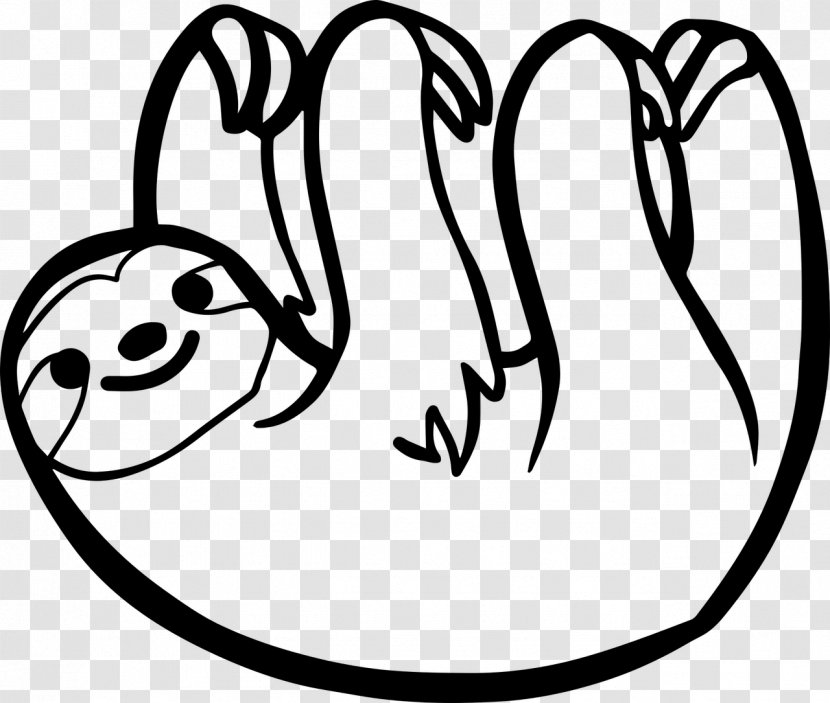 Pygmy Three-toed Sloth Drawing Two-toed Sloths Bear - Cartoon - Twotoed Transparent PNG