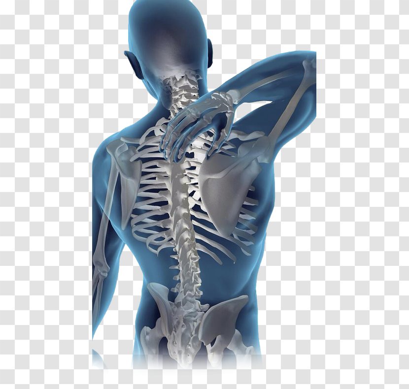 Musculoskeletal Disorder Mills Chiropractic Back Pain Vertebral Column - Watercolor - Heart Transparent PNG