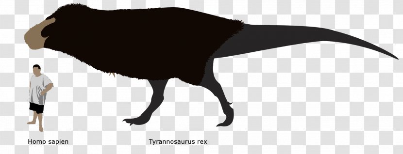 Beak Bird Tyrannosaurus Image Digital Art - Cute T Rex Transparent PNG