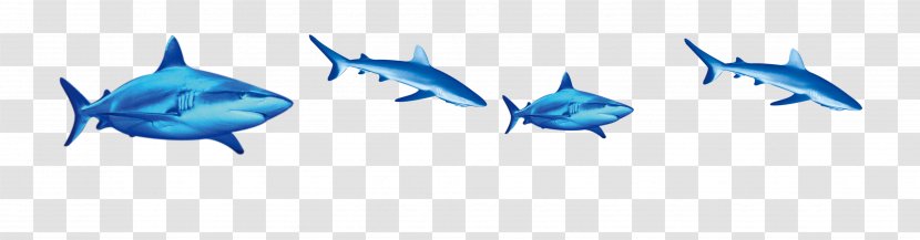 Shark Fish Download - Blue - Submarine Digging Material Transparent PNG