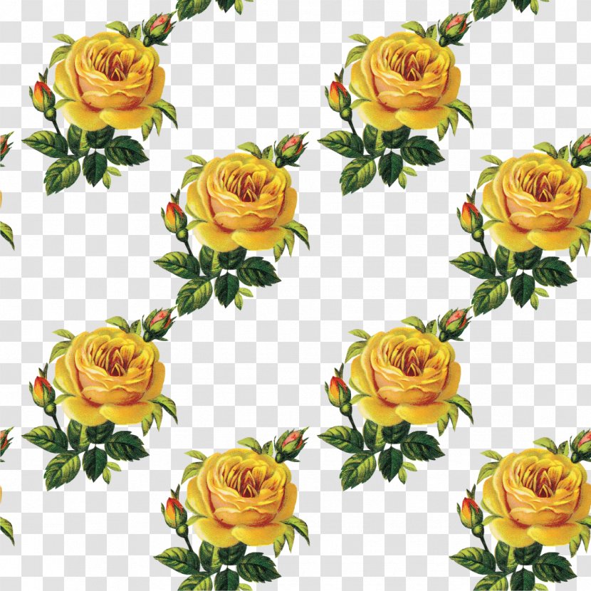 Flower Bouquet Garden Roses Floral Design Cut Flowers - Flowering Plant - Vintage Rose Transparent PNG