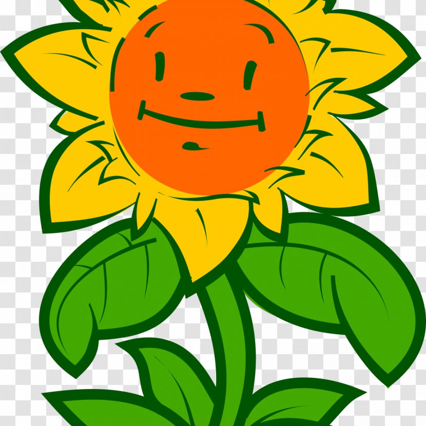 Common Sunflower - Photography - Flower Transparent PNG