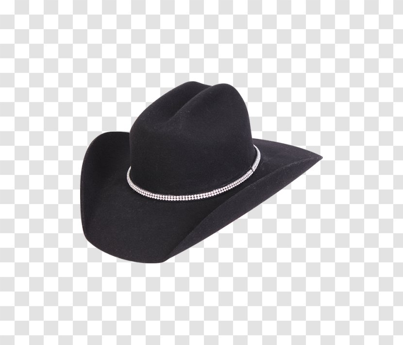 Cowboy Hat Stetson Beaver Resistol Transparent PNG