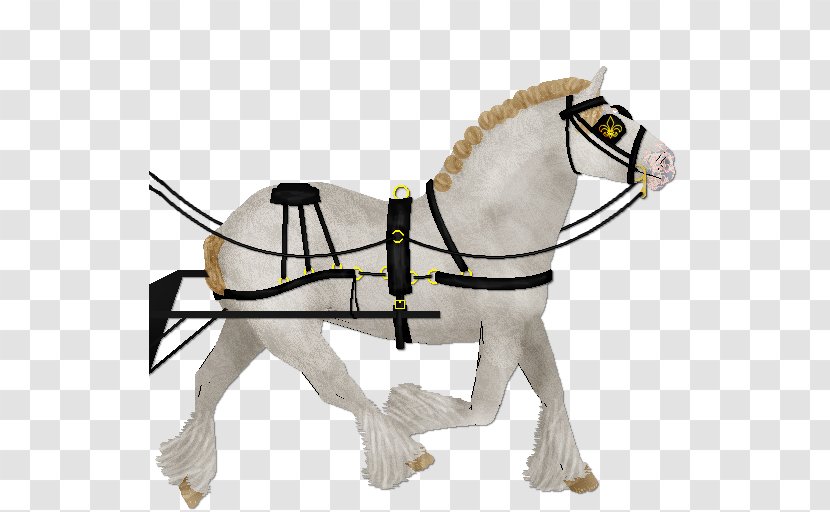 Pony Horse Harnesses Rein Halter - Bridle Transparent PNG