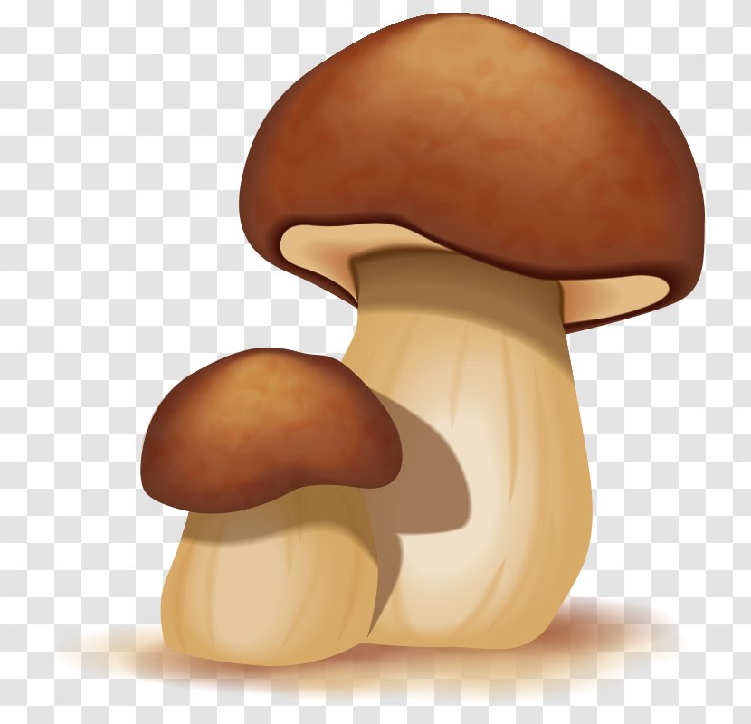 Mushroom Cartoon - Mushroom,fungus Transparent PNG