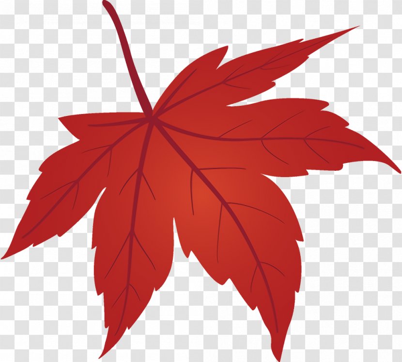 Maple Leaf Fallen Dead - Black Transparent PNG