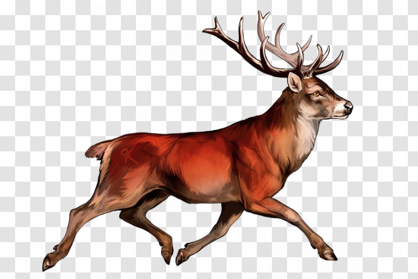White-tailed Deer Irish Elk Red Reindeer - Sambar Transparent PNG