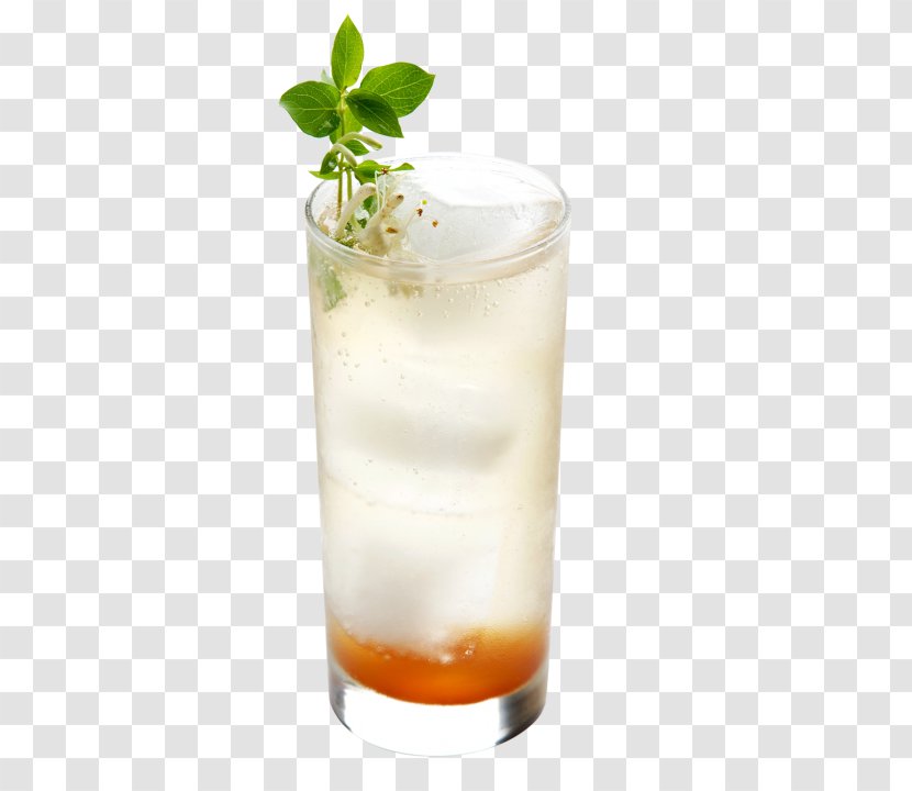 Cocktail Garnish Sea Breeze Harvey Wallbanger White Russian Mint Julep - Juice Transparent PNG