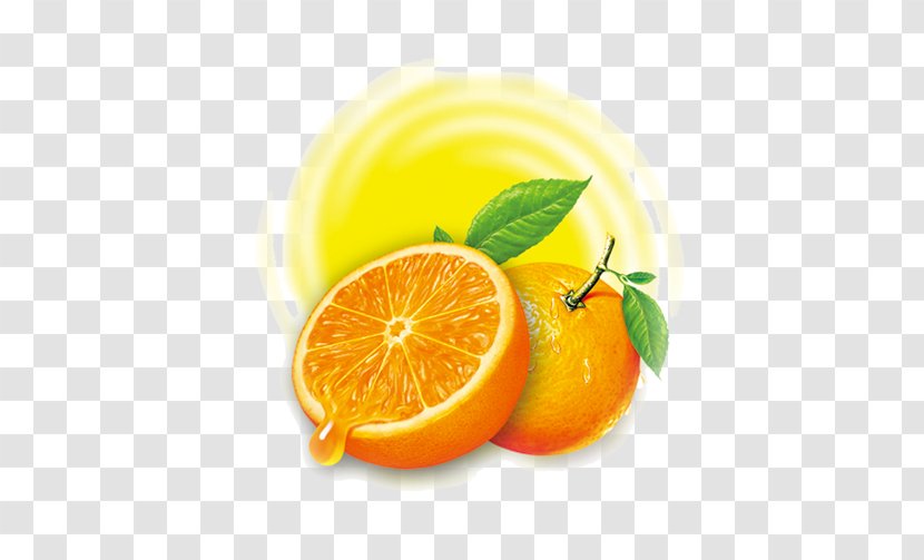 Lemon Squeezer Citron Orange Juicer - Swirl Transparent PNG