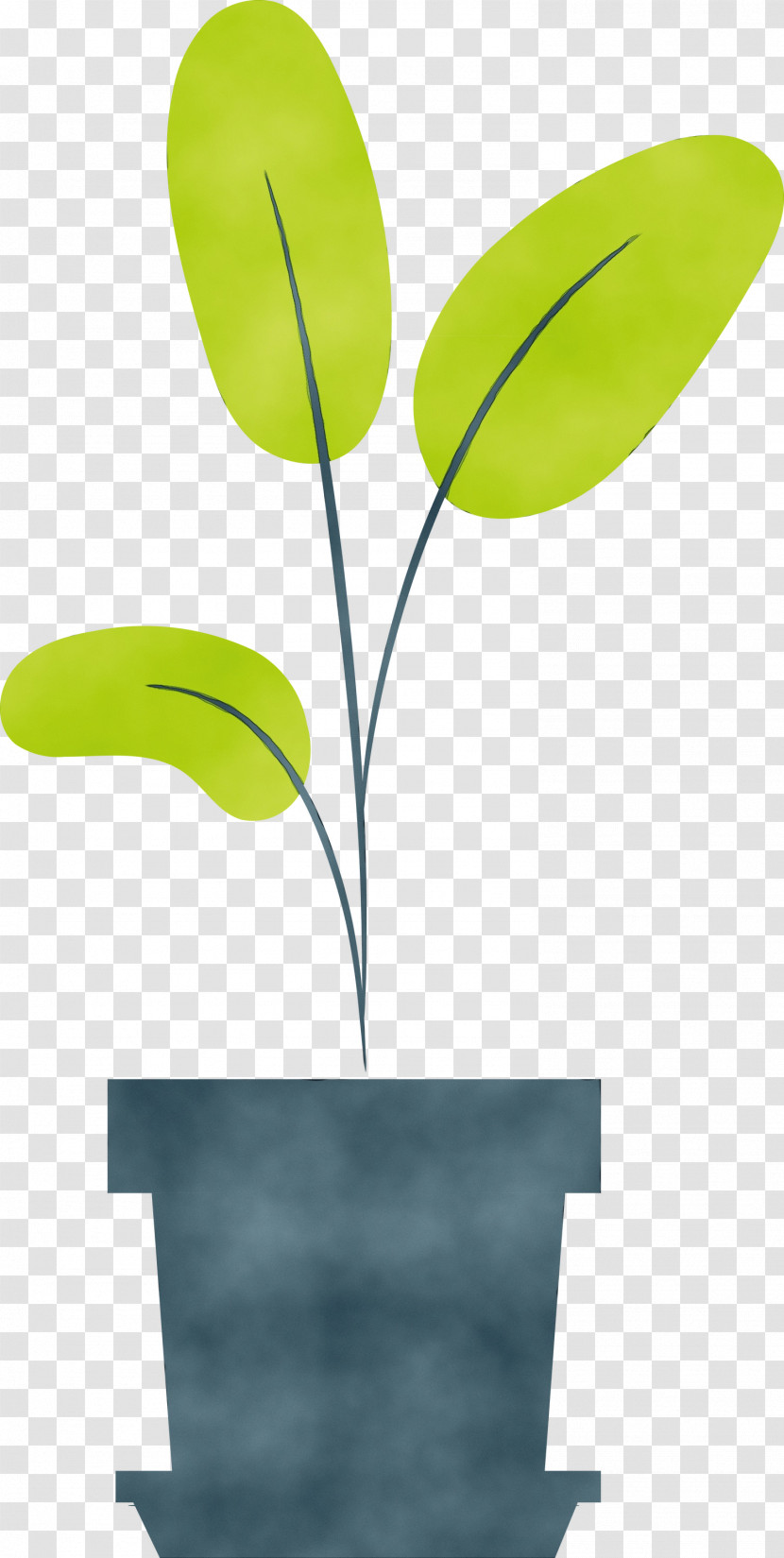 Leaf Plant Stem Green Font Line Transparent PNG