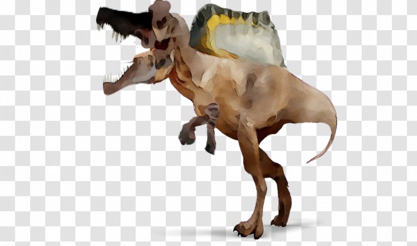 Dog Breed Snout Dinosaur - Fictional Character - Pachycephalosaurus Transparent PNG
