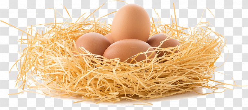 Chicken Egg White Boiled Breakfast - Golden Transparent PNG