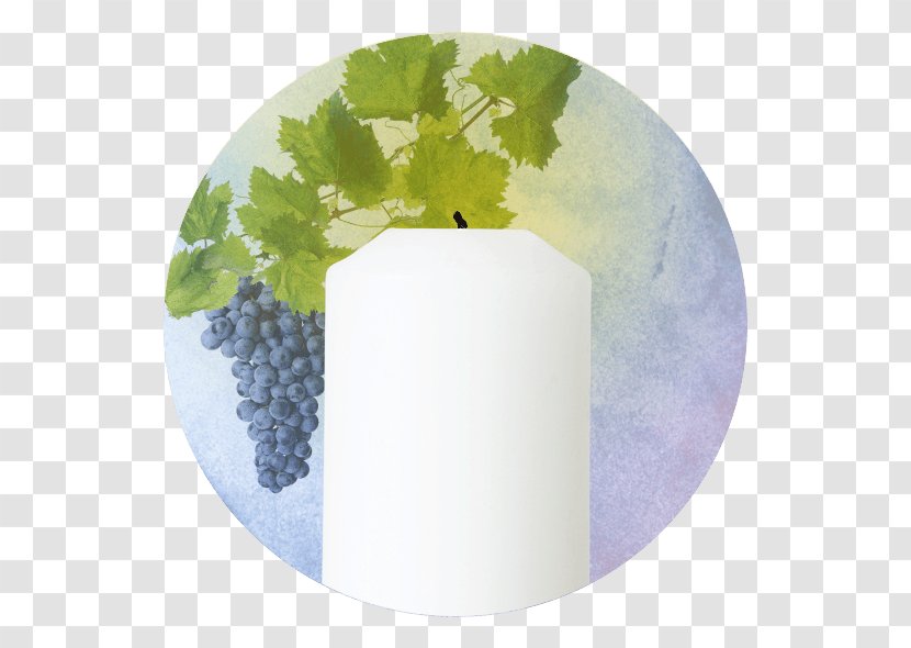 Common Grape Vine Leaves Wine - Fruit Transparent PNG