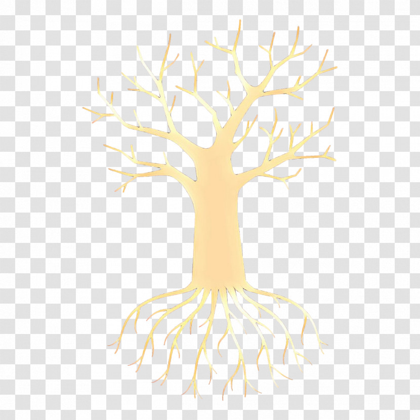 Tree Woody Plant Branch Plant Root Transparent PNG