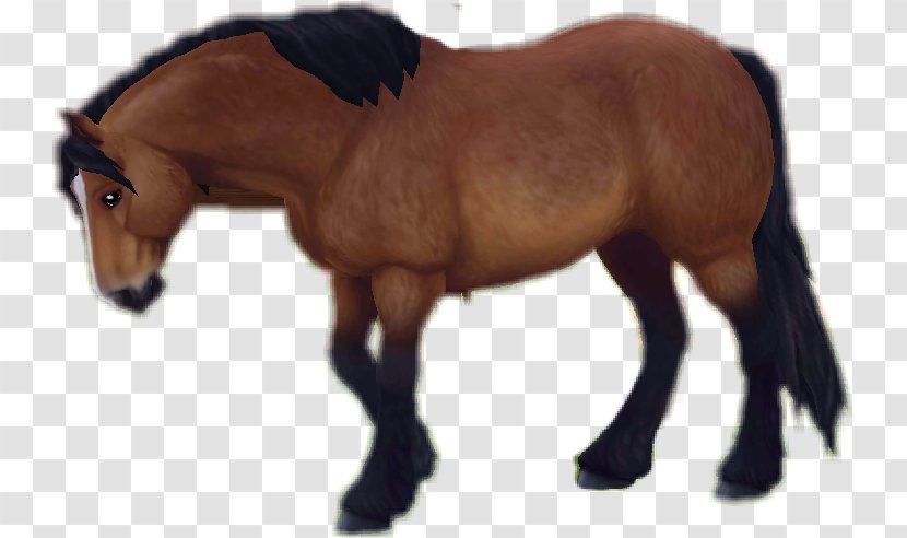 Star Stable Mare Stallion Pony Foal - Fur - Edits Transparent PNG