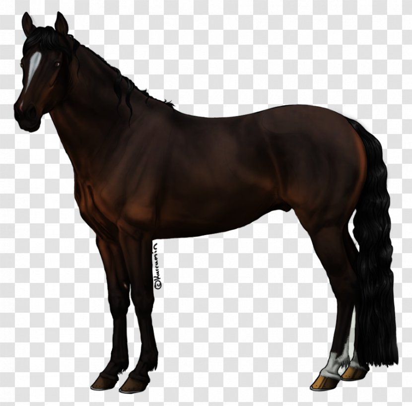 Mane Horse Pony Rein Stallion - Flower Transparent PNG