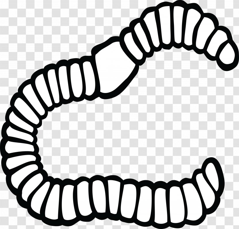 Earthworm Clip Art - Scared Transparent PNG