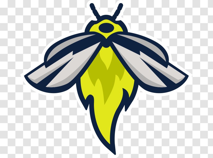 Spirit Communications Park Columbia Fireflies New York Mets Savannah Sand Gnats - Insect - Firefly Transparent PNG