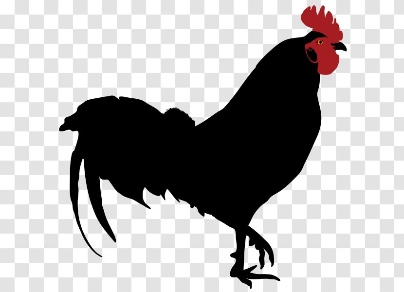 Rooster Silhouette Drawing Clip Art - Stencil - Wordart Transparent PNG