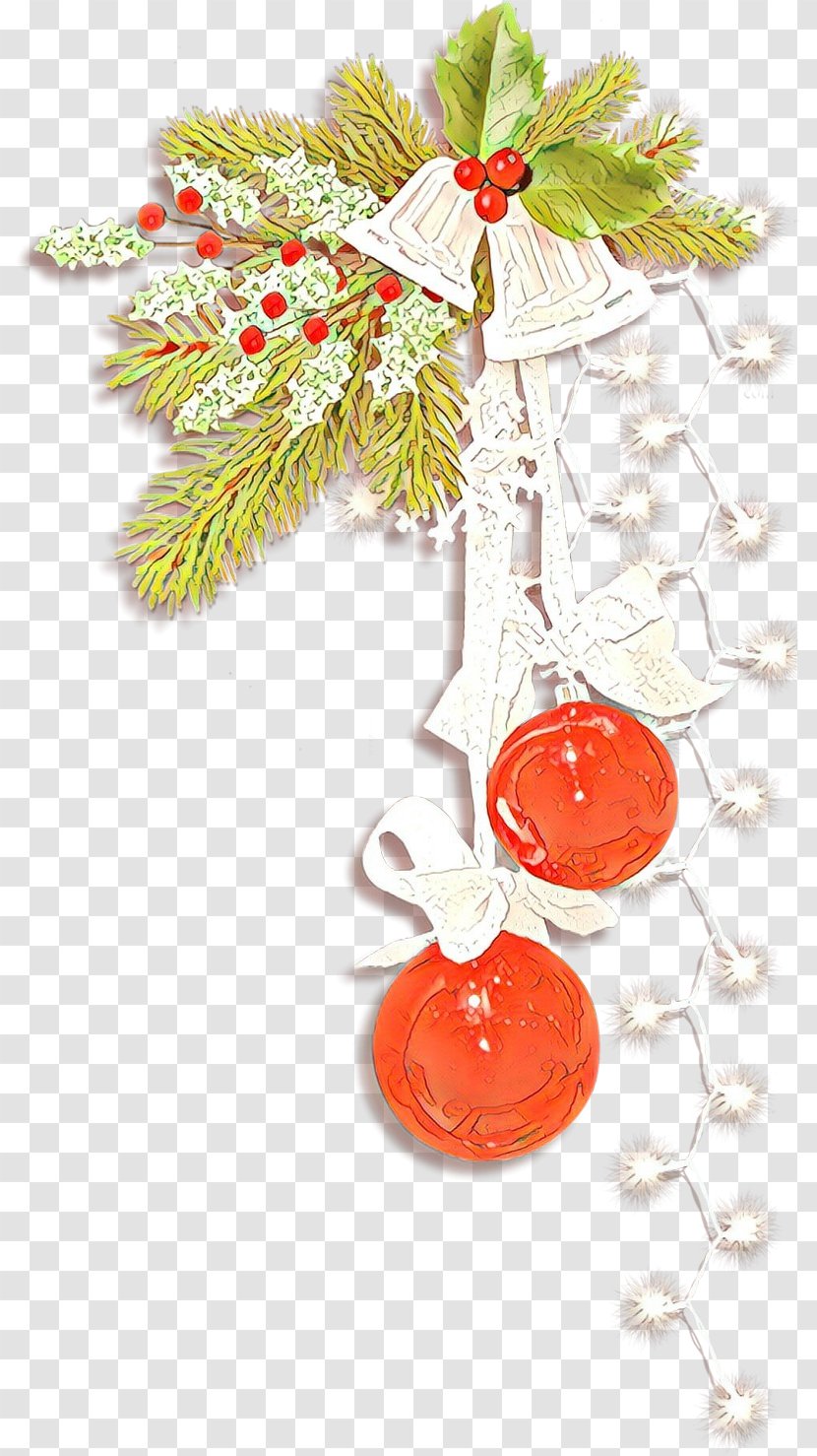 Christmas Ornament - Plant - Fashion Accessory Transparent PNG