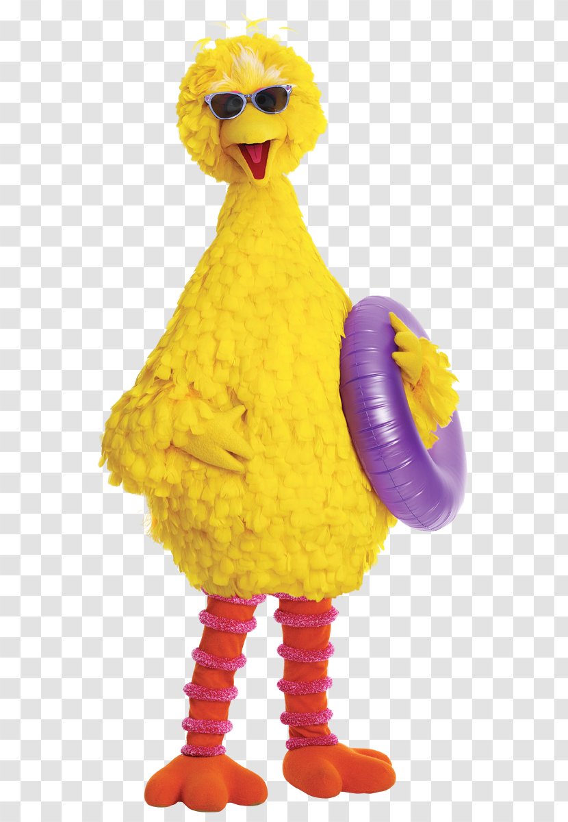 Big Bird Bert The Muppets Children's Television Series Show - Chicken - Preschool Transparent PNG