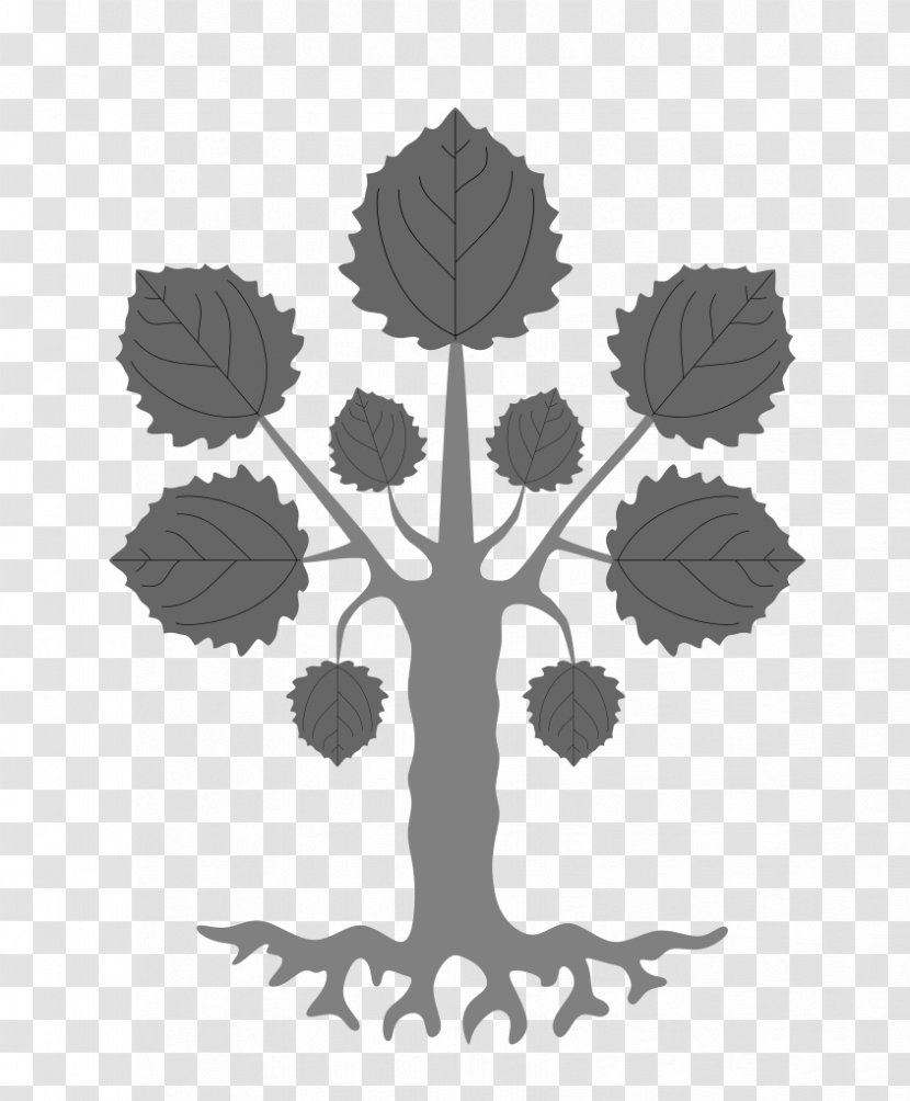Heraldry Of The World Coat Arms Silver Birch Wikipedia - Tree Transparent PNG