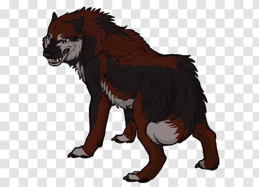 Cat Mammal Dog Animal Carnivora - Bear - Sincere Transparent PNG