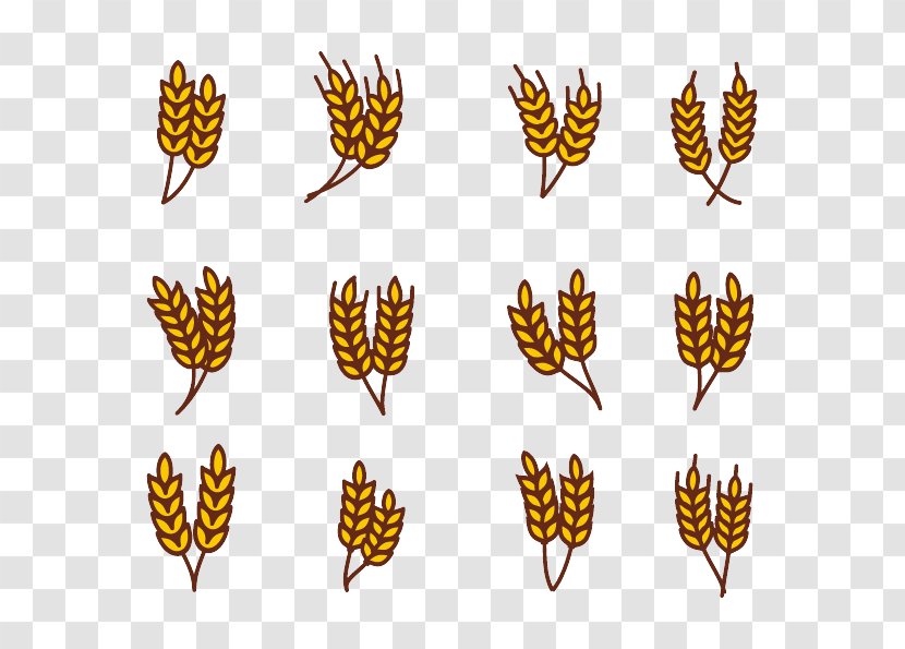 Wheat Clip Art - Insect - Rice Stick Figure Transparent PNG