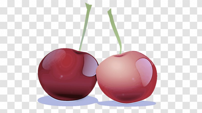Cherry Red Fruit Pink Plant - Rose Family Prunus Transparent PNG