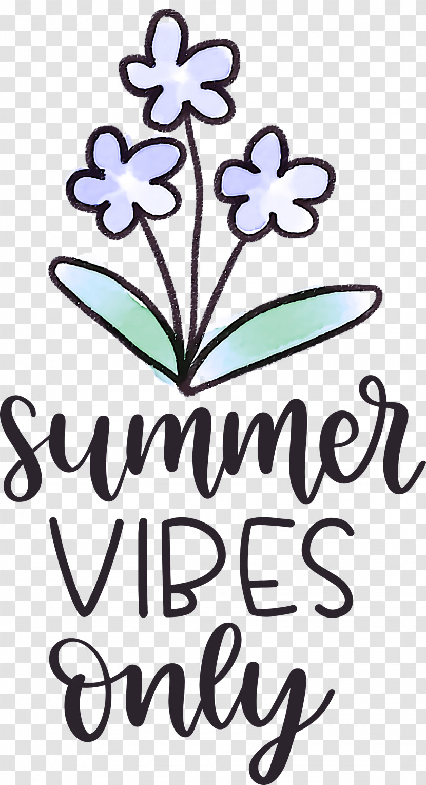 Summer Vibes Only Summer Transparent PNG