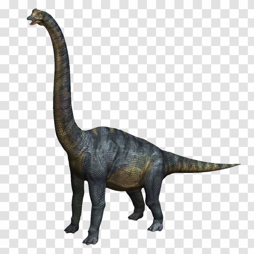 Velociraptor Brachiosaurus Tyrannosaurus Baryonyx Triceratops - Blue Dinosaur Transparent PNG